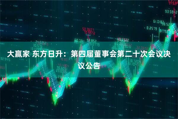 大赢家 东方日升：第四届董事会第二十次会议决议公告