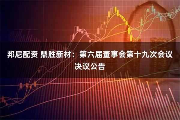 邦尼配资 鼎胜新材：第六届董事会第十九次会议决议公告