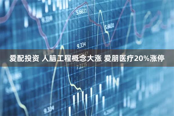爱配投资 人脑工程概念大涨 爱朋医疗20%涨停