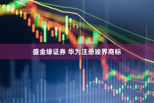 盛金缘证券 华为注册竣界商标